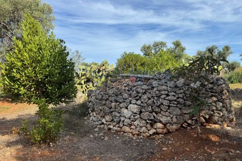Helårsgrund i Carovigno, Brindisi, Carovigno - € 68.000 | Ref: 122778 - foto 2